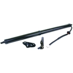 Order Lift Support by STABILUS - 2Q587509 For Your Vehicle