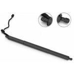 Order Support de levage de STABILUS - 2A212017 For Your Vehicle