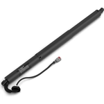 Order Lift Support by STABILUS - 3A712274 For Your Vehicle