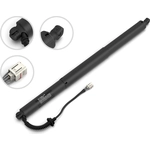 Order Lift Support by STABILUS - 3A984020 For Your Vehicle