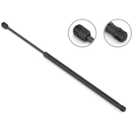 Order STABILUS - 3B107829 - Liftgate Lift Support For Your Vehicle