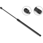 Order Lift Support by STABILUS - 3B567853 For Your Vehicle