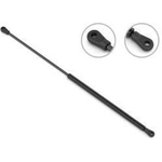 Order Lift Support by STABILUS - 3B024339 For Your Vehicle