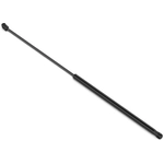 Order STABILUS - 3B103731 - Lift Support For Your Vehicle