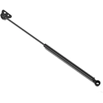 Order Lift Support by STABILUS - 3B165550 For Your Vehicle