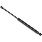 Order STABILUS - 3B187894 - Lift Support For Your Vehicle