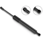 Order Lift Support by STABILUS - 3B252150 For Your Vehicle