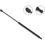 Order Lift Support by STABILUS - 3B255496 For Your Vehicle