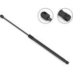 Order Lift Support by STABILUS - 3B581001 For Your Vehicle