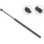 Order Lift Support by STABILUS - 3B893660 For Your Vehicle