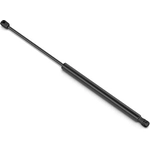 Order Lift Support by STABILUS - 3B894616 For Your Vehicle