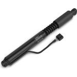 Order Lift Support by STABILUS - 4A276816 For Your Vehicle
