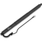 Order Lift Support by STABILUS - 4A697217 For Your Vehicle