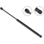 Order Lift Support by STABILUS - 4B006941 For Your Vehicle