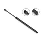 Order STABILUS - 4B039244 - Hood Lift Support For Your Vehicle