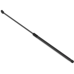 Order STABILUS - 4B163003 - Lift Support For Your Vehicle