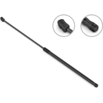 Order Lift Support by STABILUS - 4B181173 For Your Vehicle