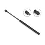 Order STABILUS - 4B206775 - Back Glass Lift Support For Your Vehicle