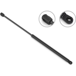 Order Lift Support by STABILUS - 4B3744TX For Your Vehicle