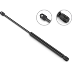 Order Lift Support by STABILUS - 4B413991 For Your Vehicle