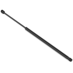 Order STABILUS - 4B781569 - Lift Support For Your Vehicle