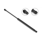 Order STABILUS - 4B814312 - Liftgate Lift Support For Your Vehicle