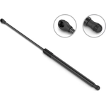 Order STABILUS - 4B889119 - Lift Support For Your Vehicle