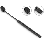 Order Lift Support by STABILUS - 4F648408 For Your Vehicle