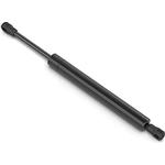 Order Lift Support by STABILUS - 4B015356 For Your Vehicle