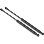 Order Lift Support by STABILUS - 4B016902 For Your Vehicle