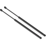 Order Lift Support by STABILUS - 4B028513 For Your Vehicle