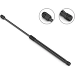 Order Lift Support by STABILUS - 4B105194 For Your Vehicle