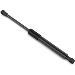 Order STABILUS - 4B151560 - Lift Support For Your Vehicle