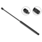 Order Lift Support by STABILUS - 4B153682 For Your Vehicle