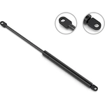 Order Lift Support by STABILUS - 4B1585BP For Your Vehicle