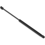 Order STABILUS - 4B255770 - Lift Support For Your Vehicle