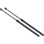 Order Lift Support by STABILUS - 4B294727 For Your Vehicle