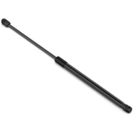 Order Lift Support by STABILUS - 4B303809 For Your Vehicle