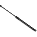 Order STABILUS - 4B431885 - Lift Support For Your Vehicle
