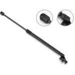 Order Lift Support by STABILUS - 4B450038 For Your Vehicle