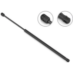 Order Support de levage de STABILUS - 4B5215RJ For Your Vehicle