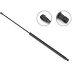 Order Lift Support by STABILUS - 4B607782 For Your Vehicle