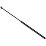 Order Lift Support by STABILUS - 4B622601 For Your Vehicle