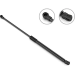 Order Lift Support by STABILUS - 4B735408 For Your Vehicle