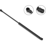 Order Lift Support by STABILUS - 4B750240 For Your Vehicle
