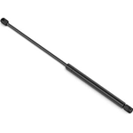 Order Lift Support by STABILUS - 4B849445 For Your Vehicle
