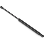 Order Lift Support by STABILUS - 4B852074 For Your Vehicle