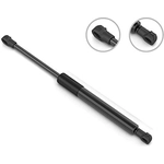 Order Lift Support by STABILUS - 4B9914WV For Your Vehicle