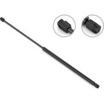 Order Lift Support by STABILUS - 5B029587 For Your Vehicle