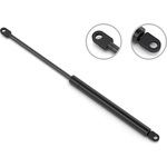 Order Lift Support by STABILUS - 5B9365BE For Your Vehicle